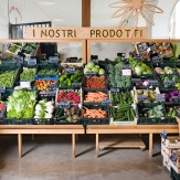 colonia-agricola-bottega-biologico-05