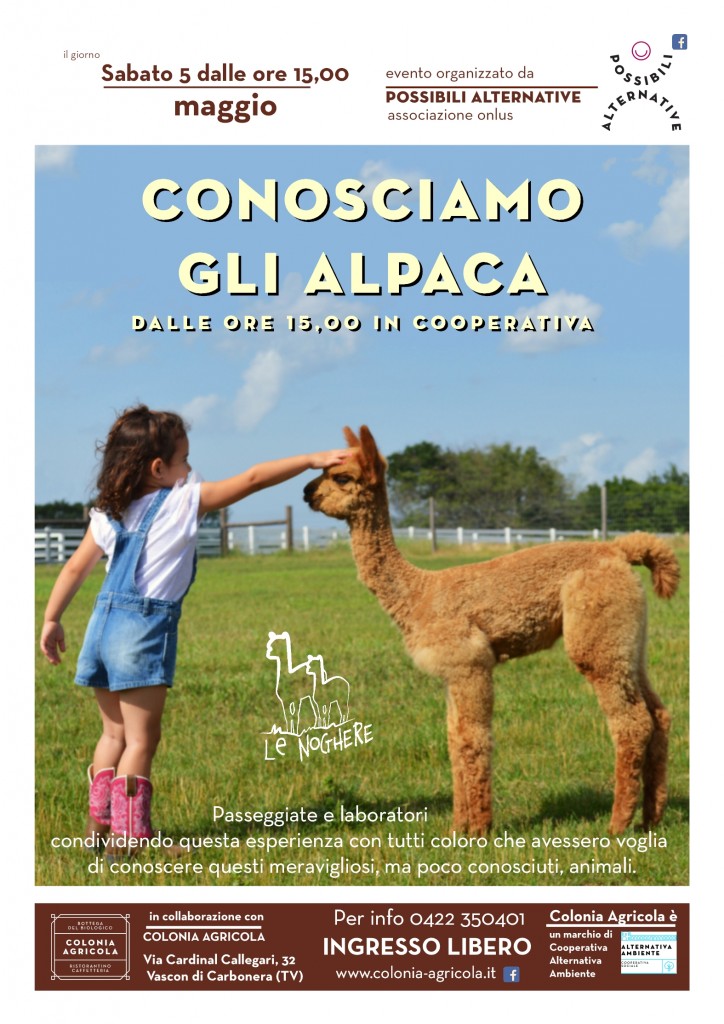E0127_180505_PassegiandoAlpaca_XWEB