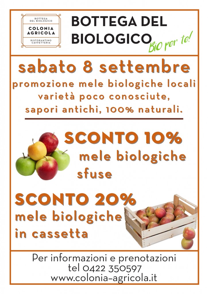 promo mele volantino