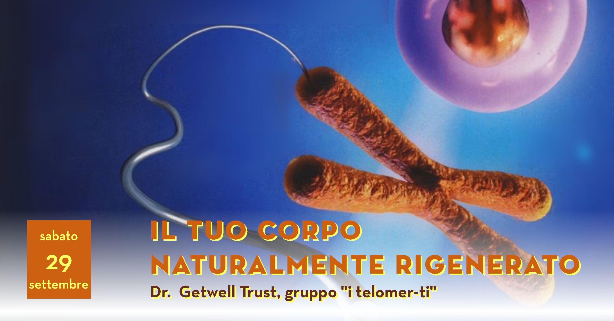 IlTuoCorpoRigenerato
