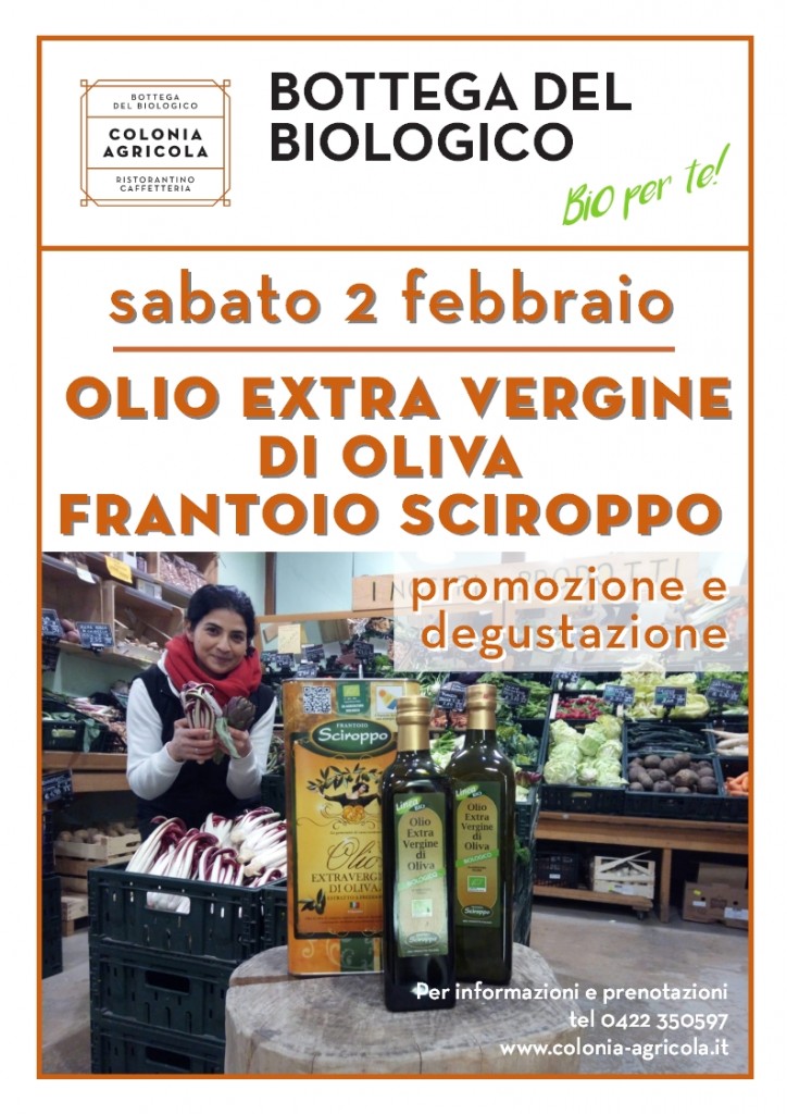 Degustazione olio