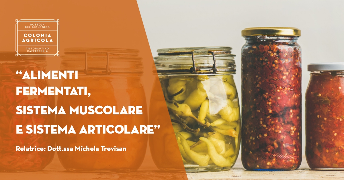 Alimenti fermentati