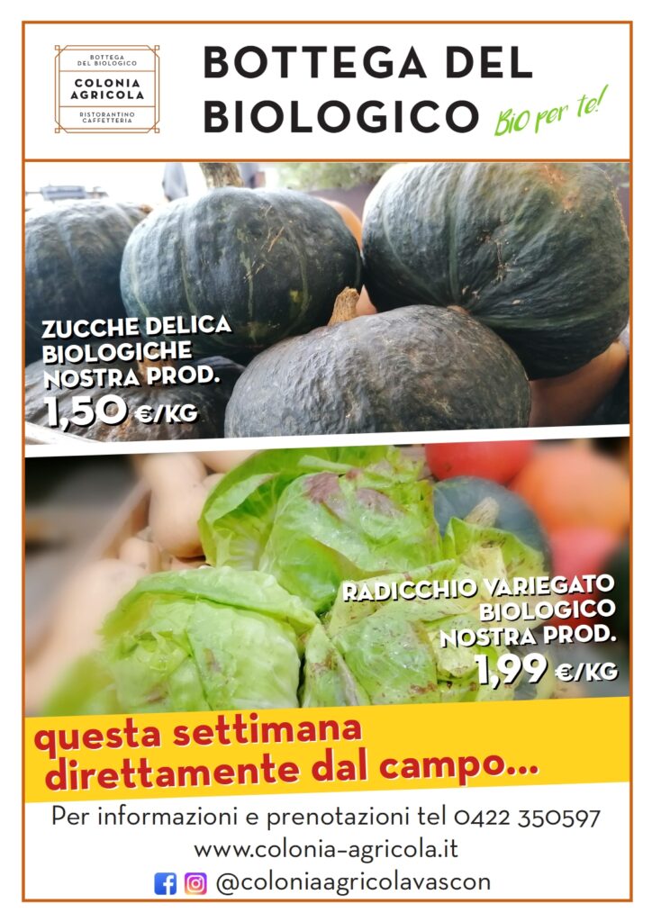Promo radicchio variegato zucche delica nostra produzione