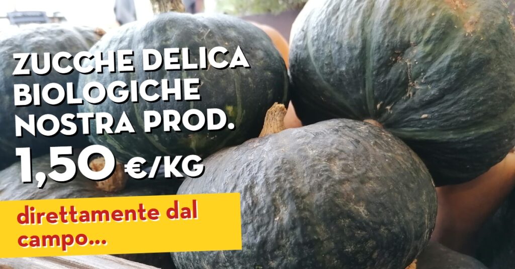 Promo radicchio variegato zucche delica nostra produzione