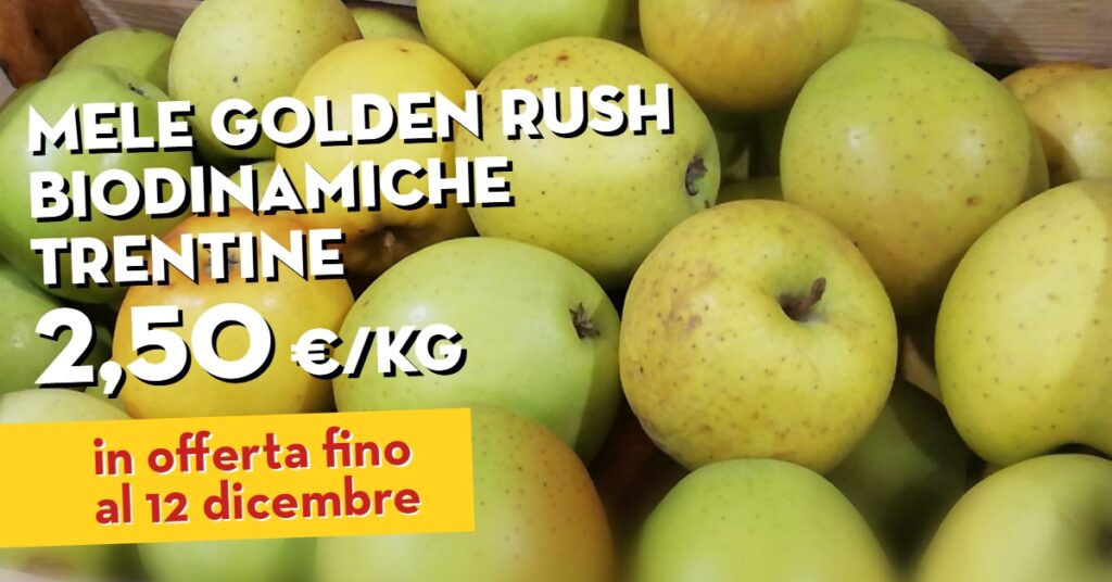 Offerta della settimana: mele golden rush biodinamiche trentine