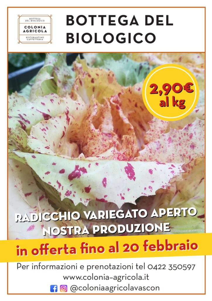 Offerta della settimana: radicchio variegato aperto nostra produzione 2,90€ al kg e aceto di mele integrale (da produttore diretto di Marano Vicentino) in sconto del 15%. In offerta fino al 20 febbraio