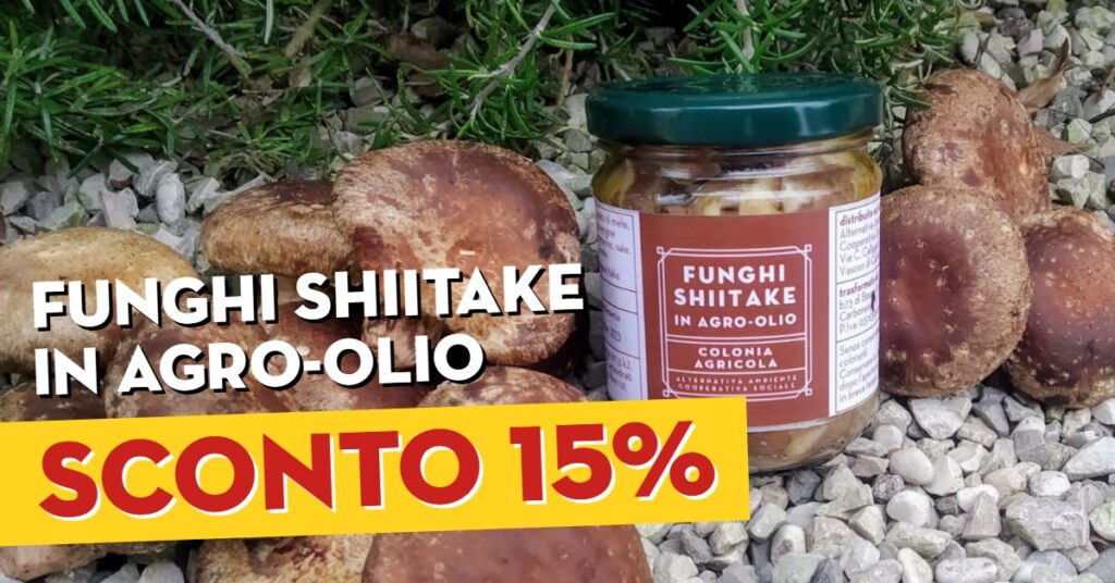 funghi shiitake in agro-olio