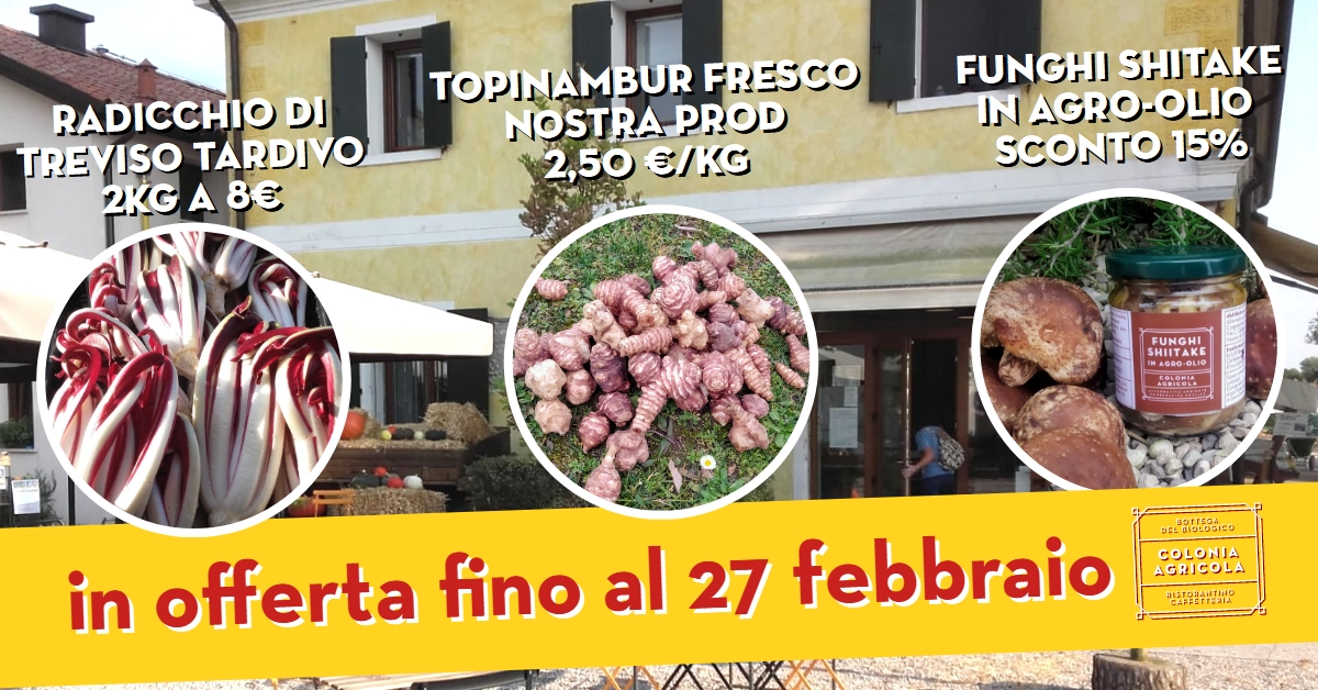Offerta della settimana: radicchio di Treviso tardivo 2kg a 8€, topinambur fresco nostra produzione 2,50€ al kg e funghi shiitake in agro-olio sconto del 15%.