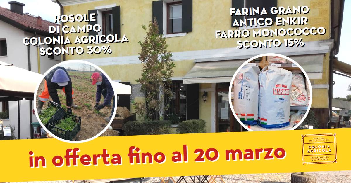 Promo Rosoline e Farina grano antico Enkir
