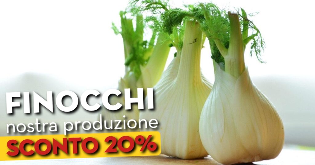 Promo finocchi