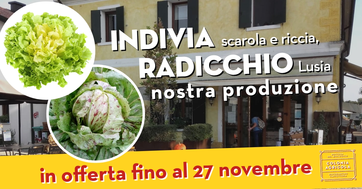 Promo indivia scarola e riccia, radicchio Lusia