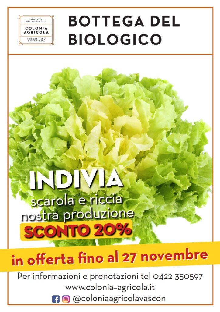 Promo indivia scarola e riccia