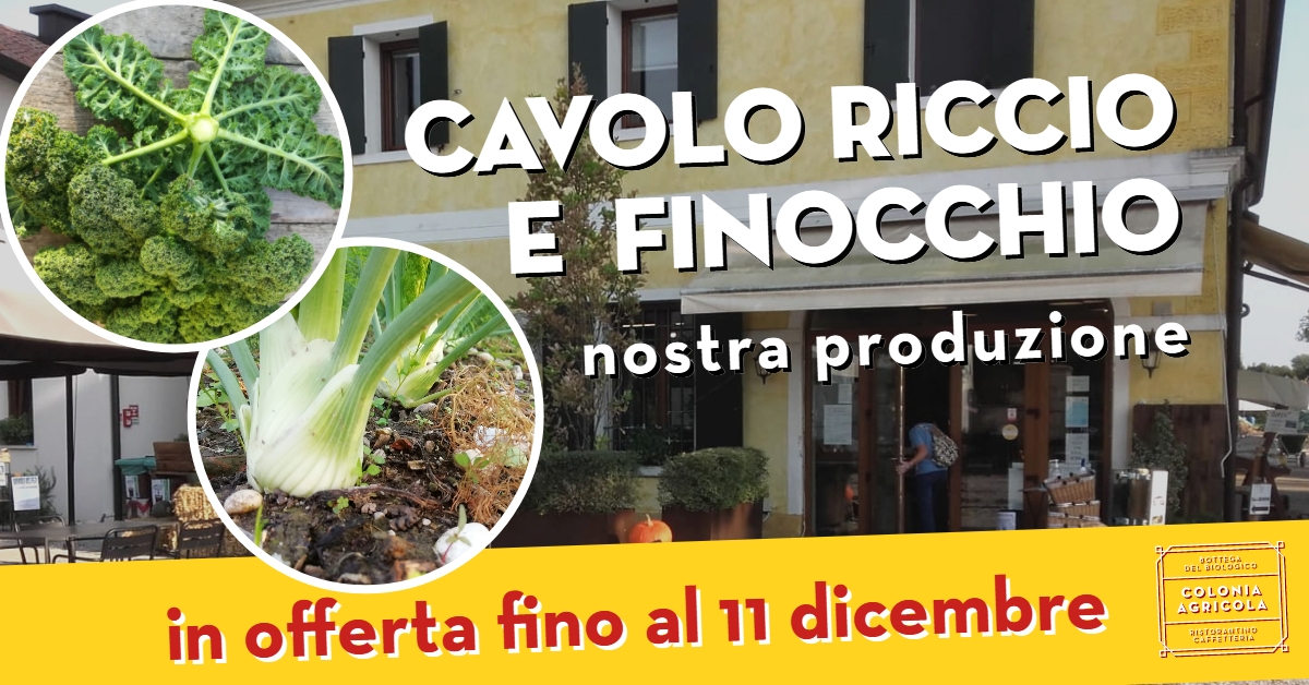 Promo cavolo riccio Kale e finocchio