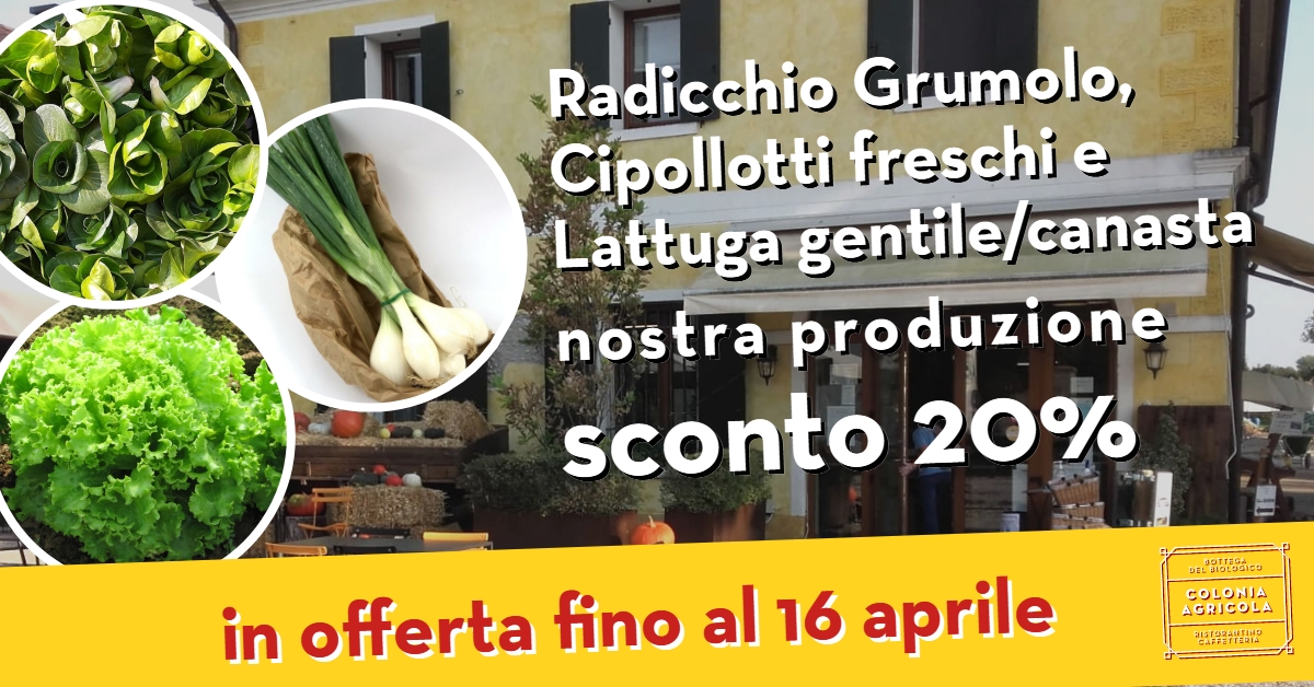 Promo Radicchio Grumolo, cipollotti freschi e lattuga gentile/canasta