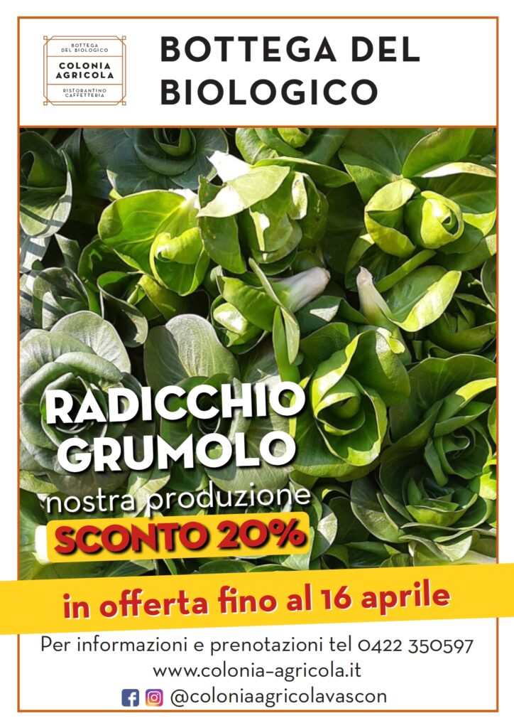 Promo Radicchio Grumolo