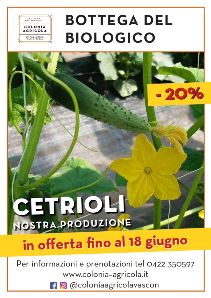 Promo cetrioli