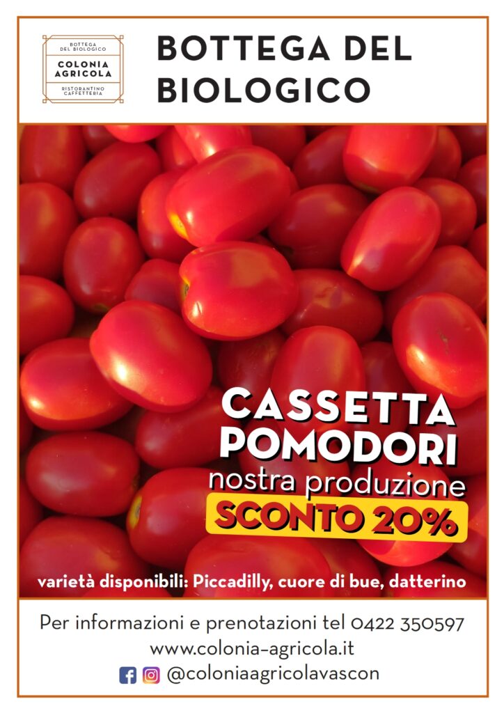 Promozione cassetta pomodori