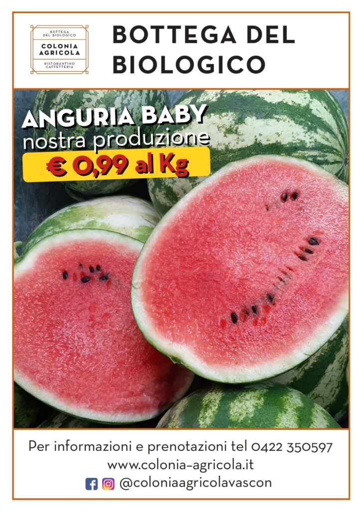 Promozione angurie baby
