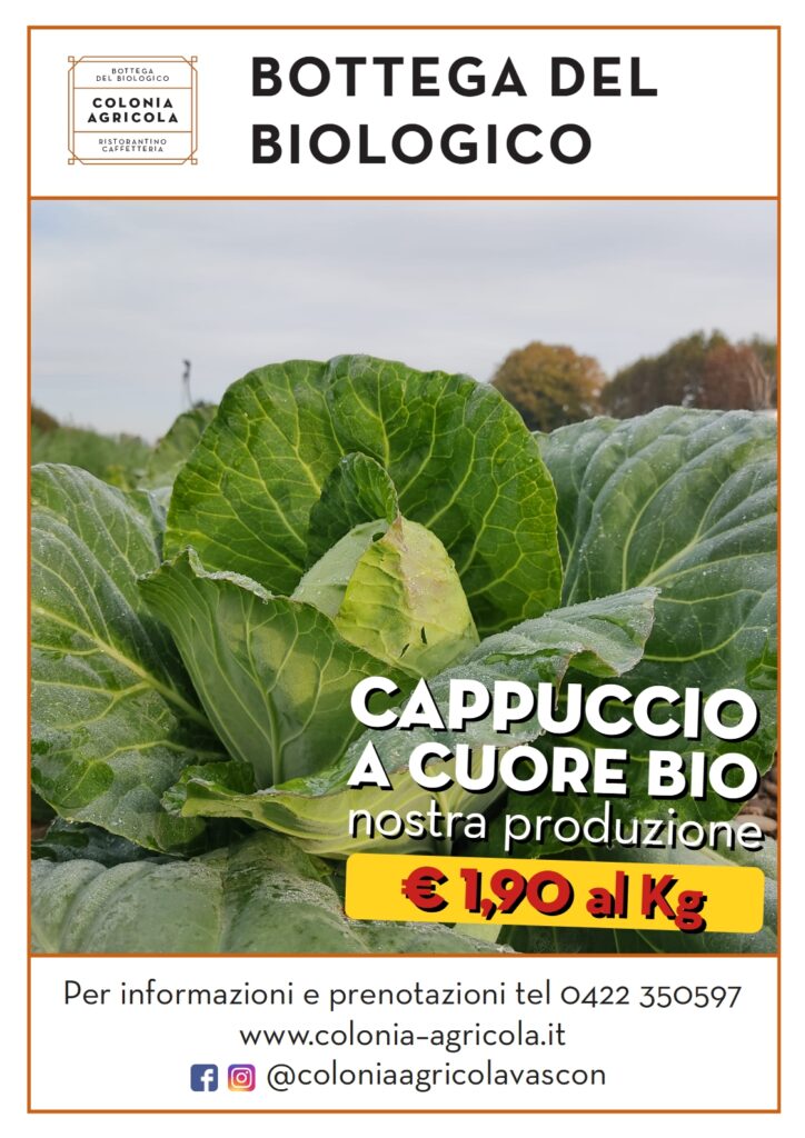🧑‍🌾 Questa settimana cappuccio a cuore nostra produzione in offerta a soli € 1,90 al Kg fino a sabato 17 settembre 2022