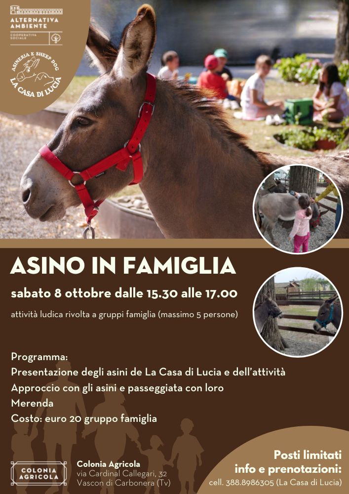 ASINO IN FAMIGLIA