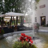 BOTTEGA GIARDINO 17.06 PER SITO (5)